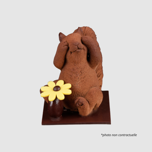 BOB - l'Ecureuil De La Sagesse