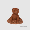 Timon - le Grand Suricate