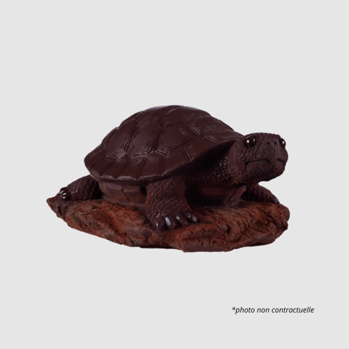 CAROLINE- La grosse Tortue