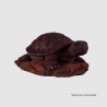 CAROLINE- La grosse Tortue