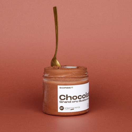 Sorbet Chocolat Noir du Guatemala