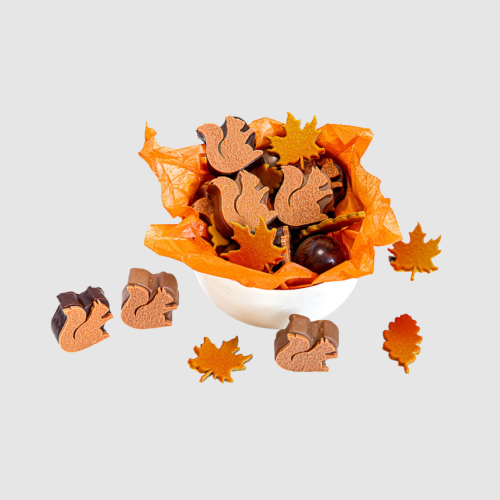 Couleurs d'Automne