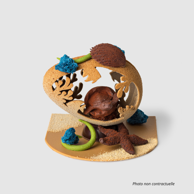 Oeuf  "L'Eveil de la nature" Tortue