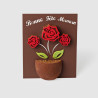 Coffret de roses